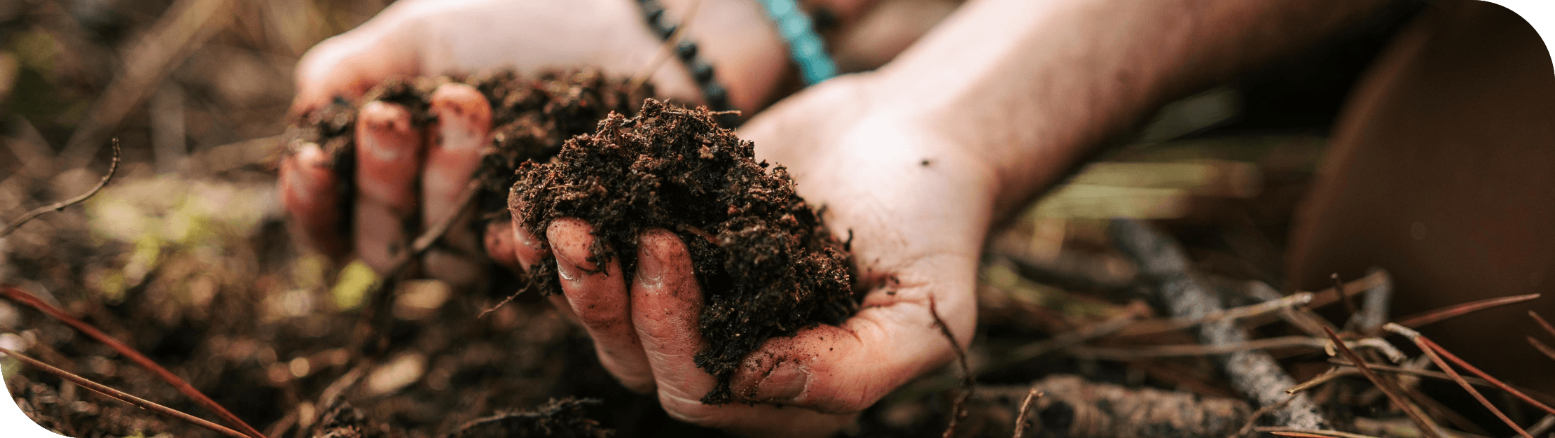 Des mains tiennent de la terre