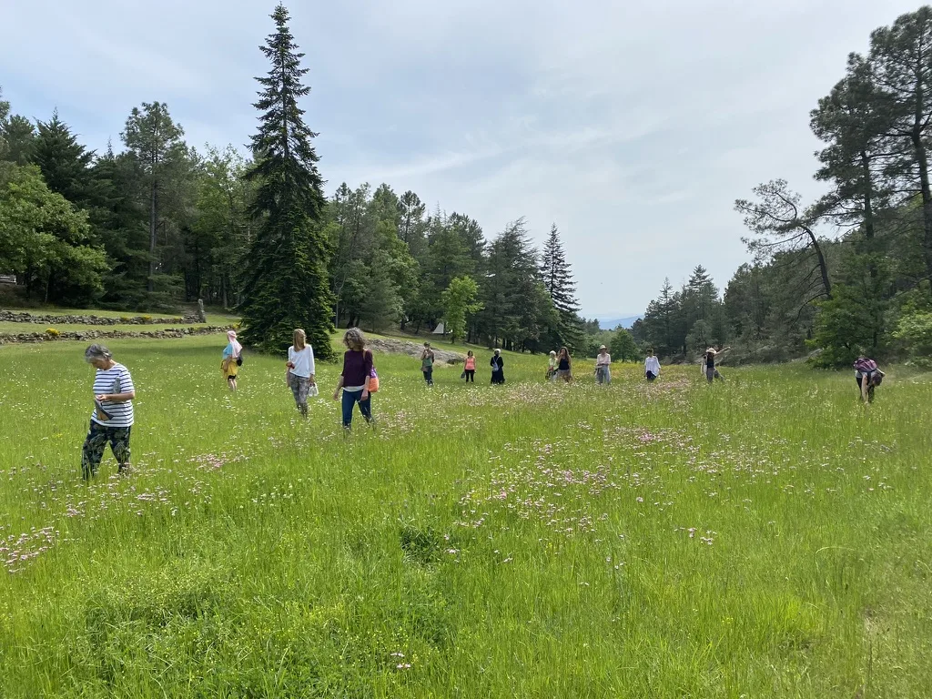 Participants dans une prairie